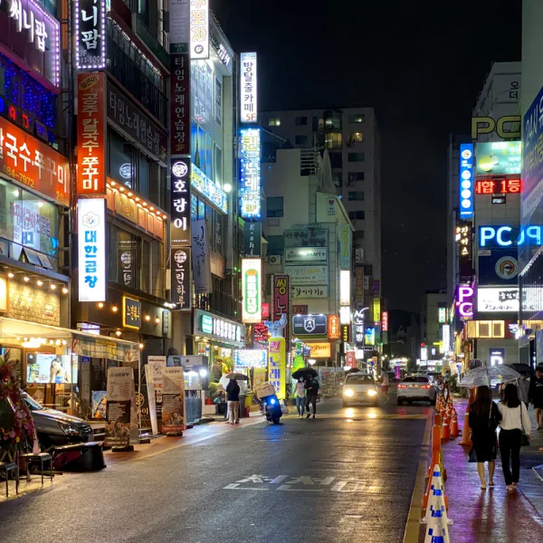 라운지 아델포레스트 테라피 안내 이미지